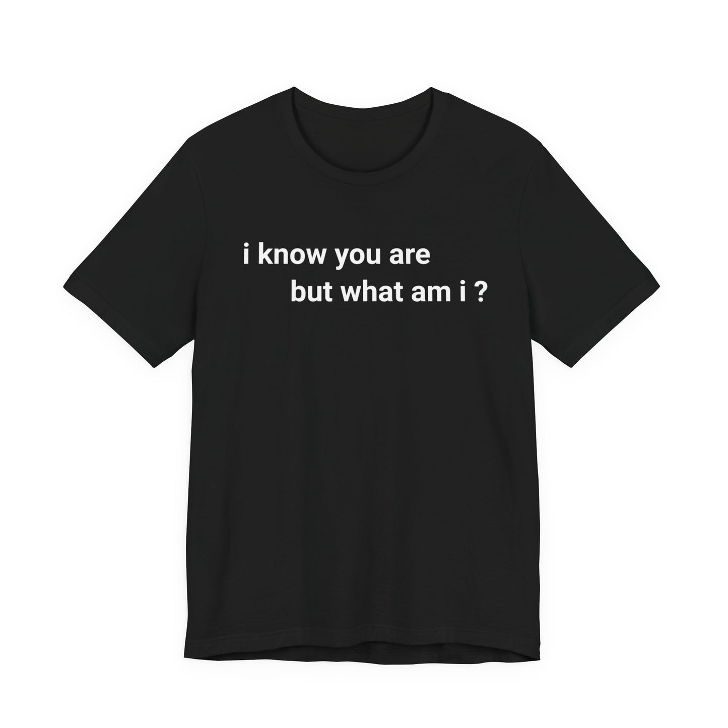 I know you are, but what am I Classic cotton t-shirt
