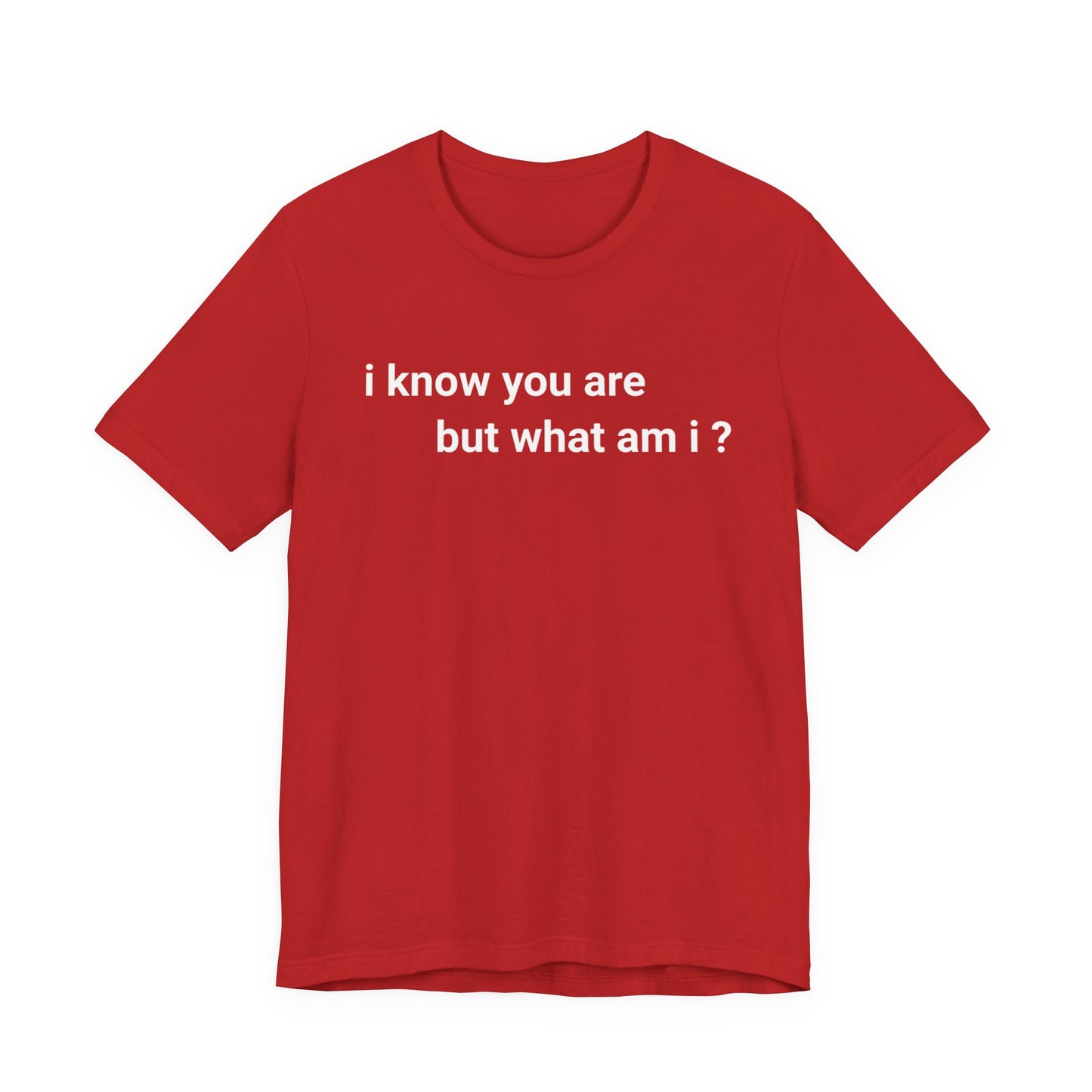 I know you are, but what am I Classic cotton t-shirt