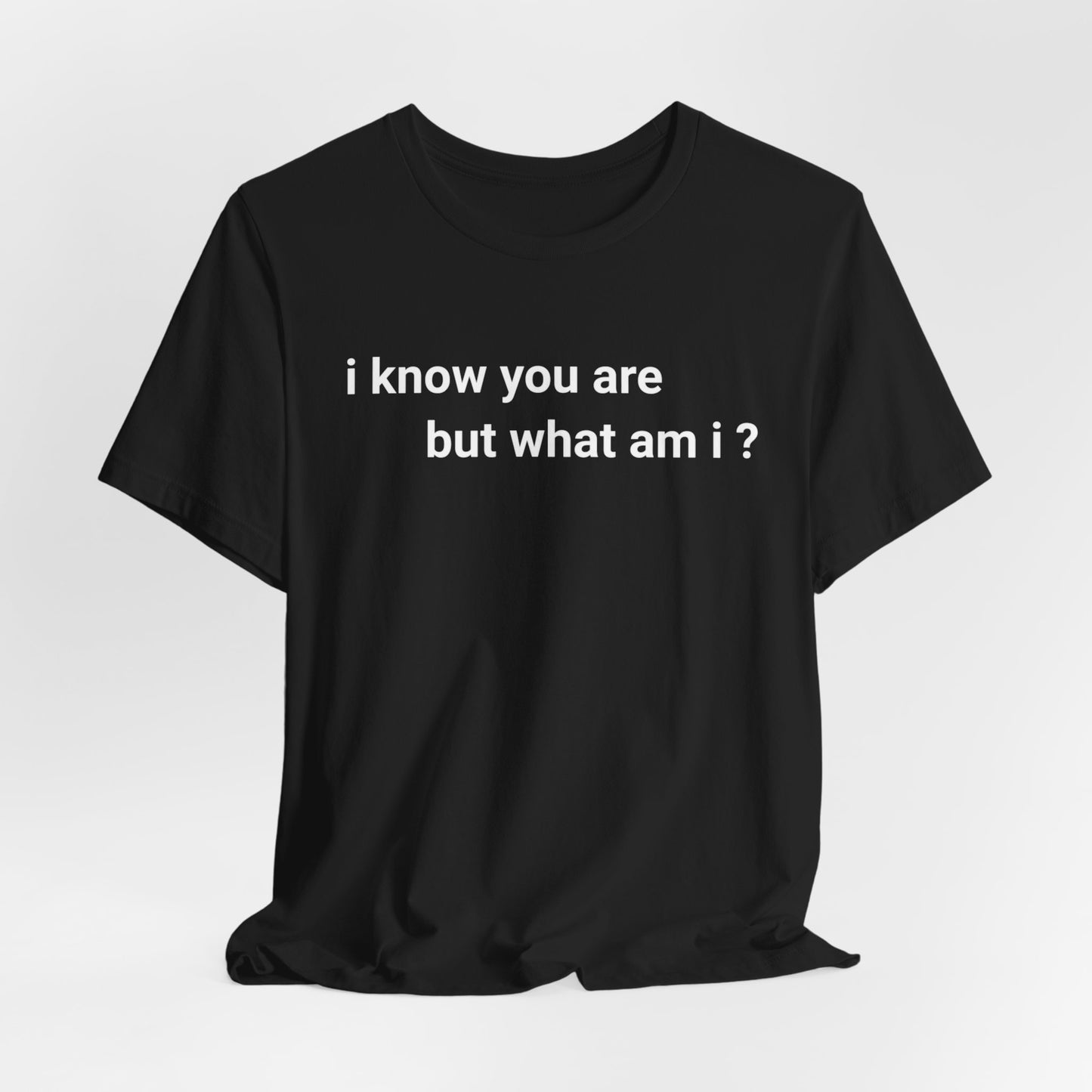 I know you are, but what am I Classic cotton t-shirt