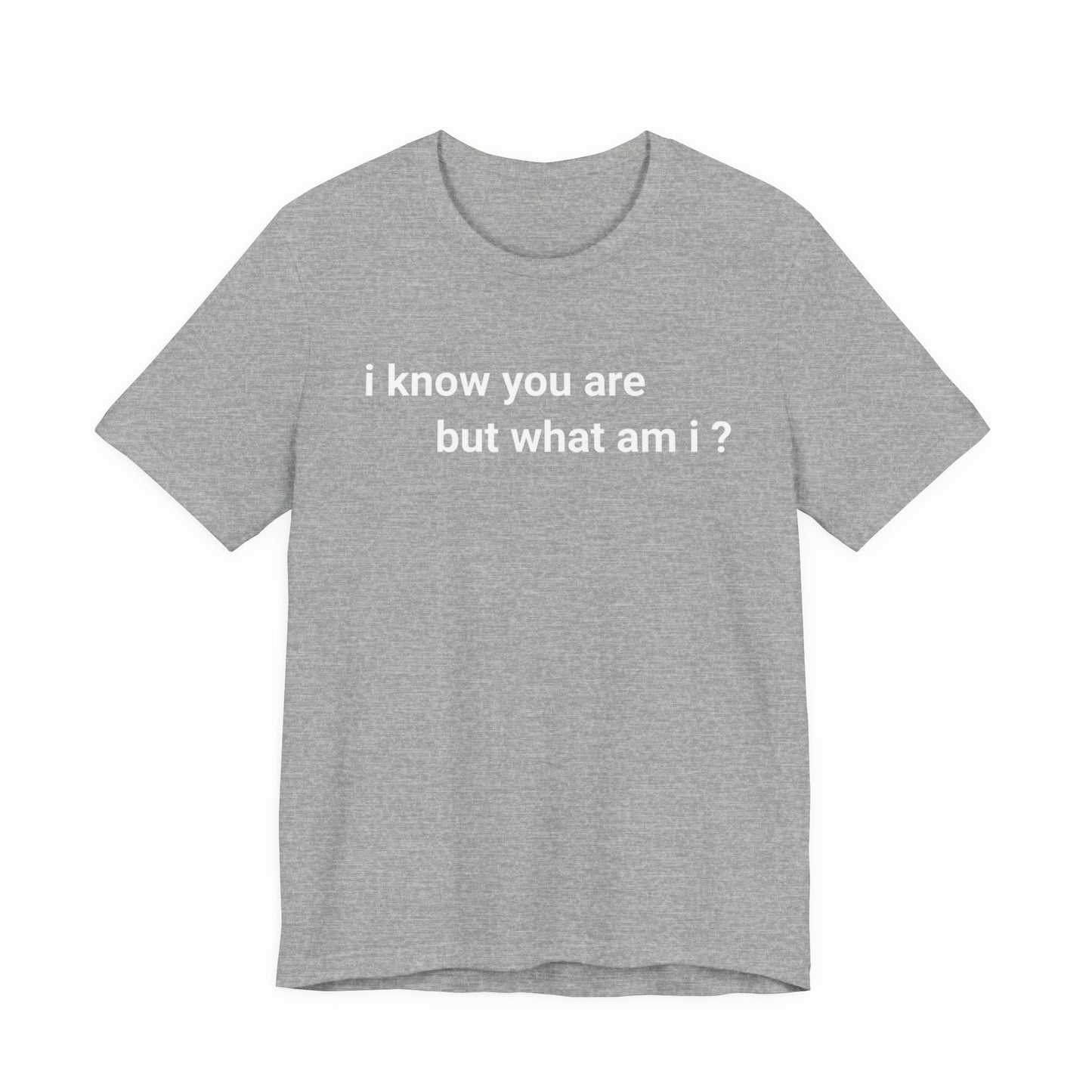 I know you are, but what am I Classic cotton t-shirt