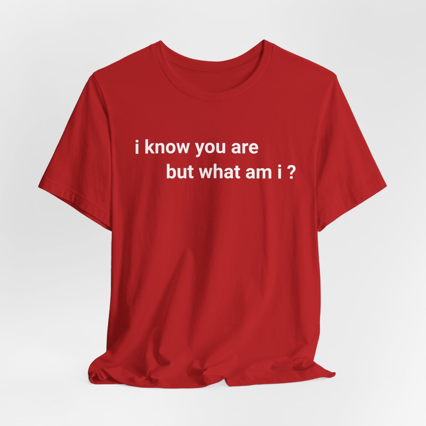 I know you are, but what am I  Classic cotton t-shirt